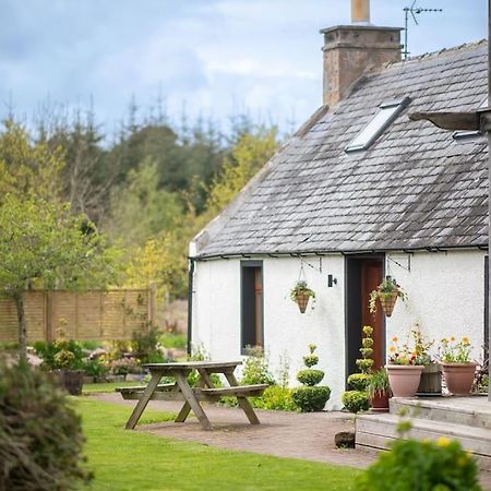 Cosy & Rustic Retreat - Woodland Cottage. 奈恩 外观 照片