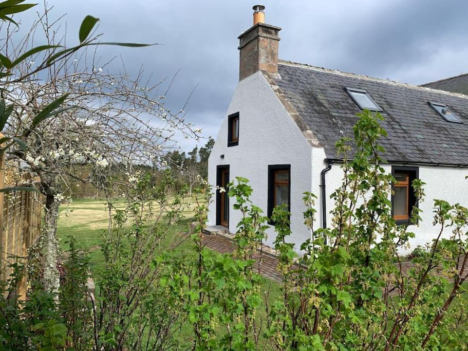 Cosy & Rustic Retreat - Woodland Cottage. 奈恩 外观 照片